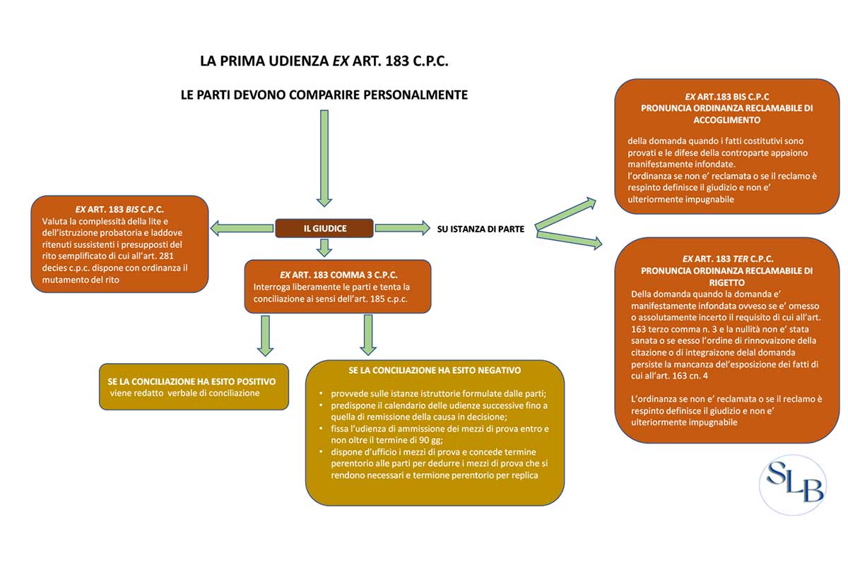 La prima udienza EX ART. 183 C.P.C.